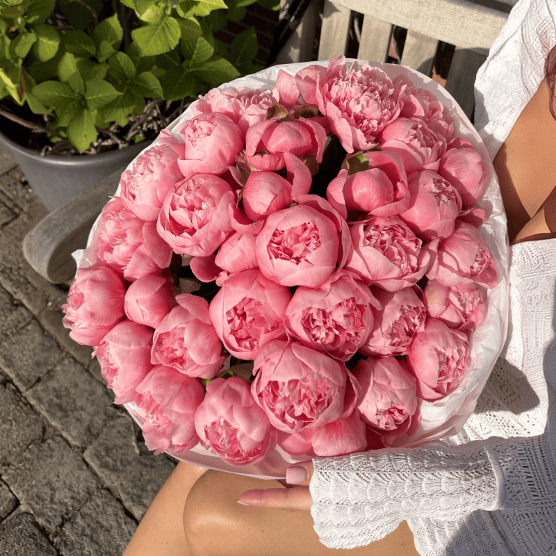 Peach Blush