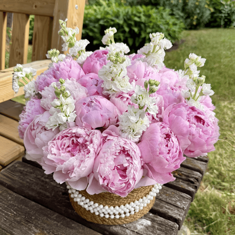 Peony Cloud